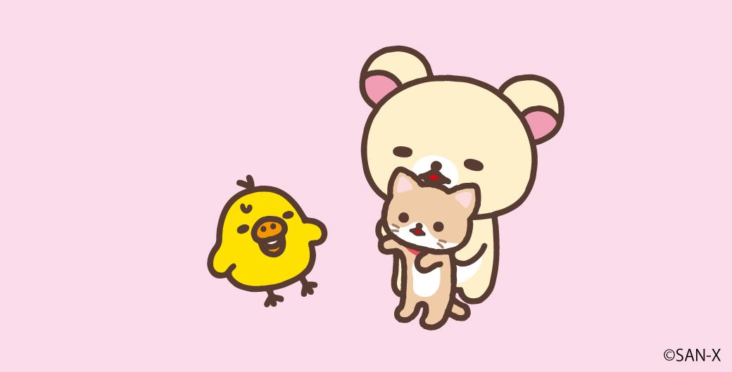 キイロイトリはネコが苦手みたい・・・？ ＃コリラックマ