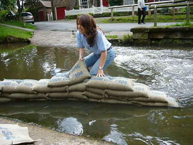_cleaningtips's tweet image. @FloodFreeHomes Discover Why #Sandbags are not the Answer to #flooding ow.ly/OFtJa