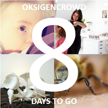 oksigenlab's tweet photo. 8 days left! Support @boobsnburps @BeeOdiversity @PermaFungi &amp; Le Salon des Femmes now on http://t.co/liwRLfXPo1! http://t.co/j0FlzAEiOU
