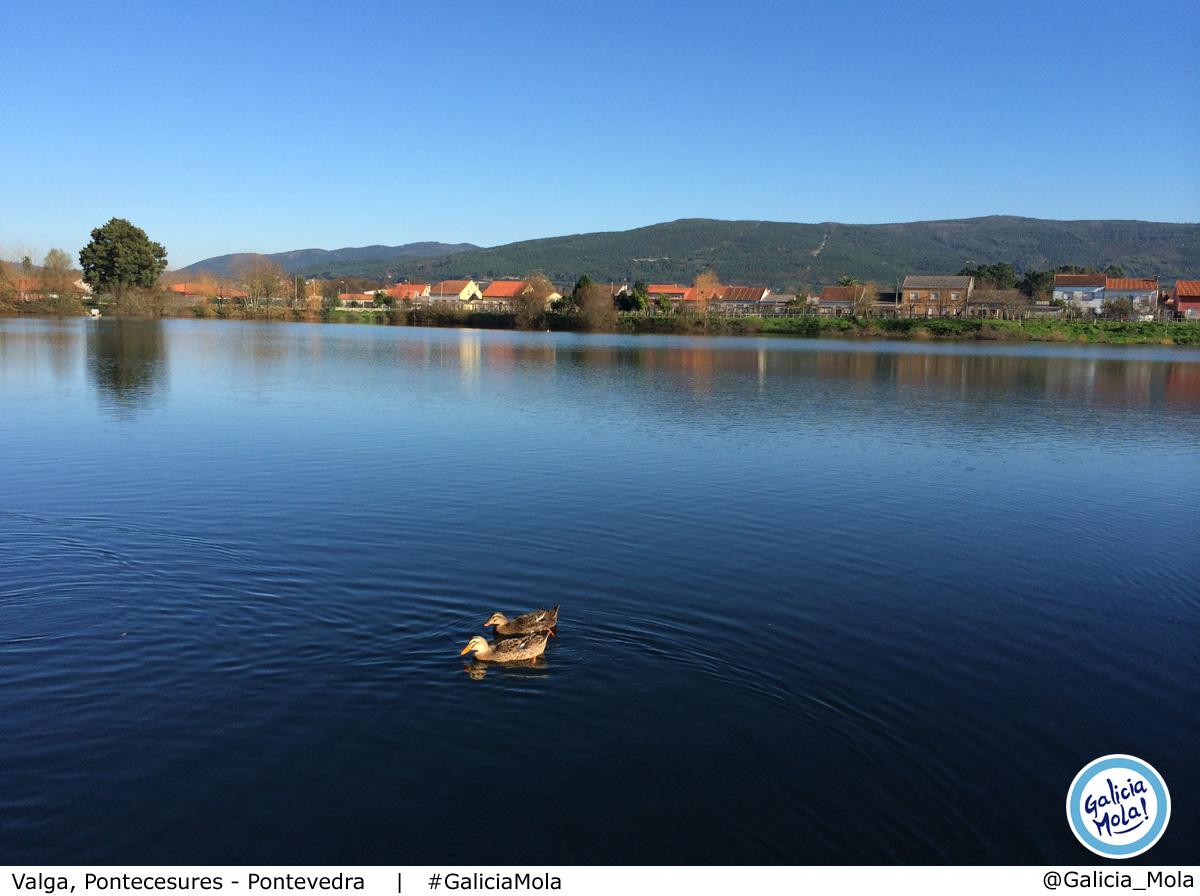 Galicia_Mola's tweet photo. Este lago tan chulo está en Valga, Pontecesures.

¿lo conoces?

#Galicia #GaliciaMola http://t.co/bktacp6oxK