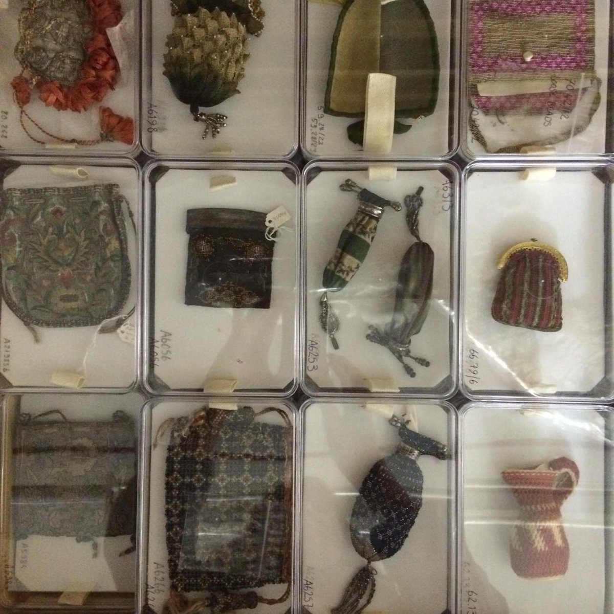 Beatrice Behlen tweet media