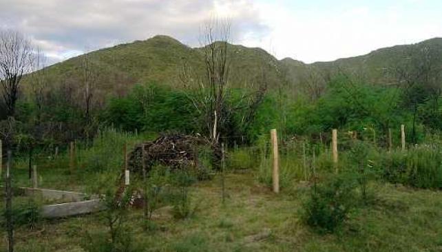 viacordobacomar's tweet photo. Compró un #terreno, lo #estafaron y logró que le #devolvieran el dinero http://t.co/0K7xDRGonu http://t.co/5yokRNzwPM