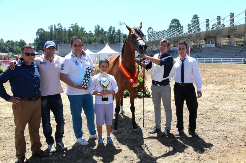 hipicapress's tweet photo. Más de 240 caballos #PRE y Árabes participaron en #Equina2015. http://t.co/bsS8c07WUl http://t.co/Y0W5c0j7FF