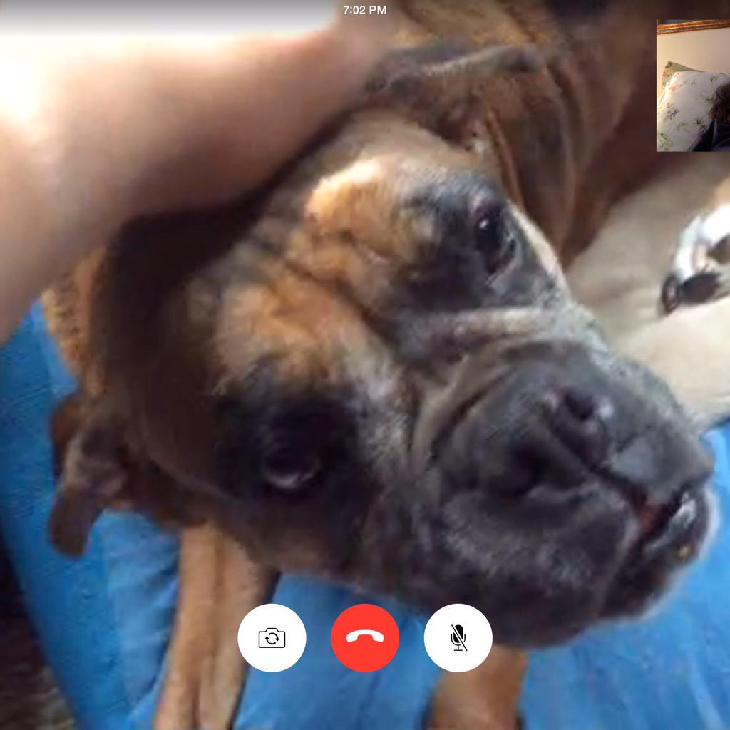 AlanaAstra's tweet photo. Facetiming mum whilst getting some love from Daddy @Asklepios333 #multitaskingiskey http://t.co/Sdg2iqEfNv