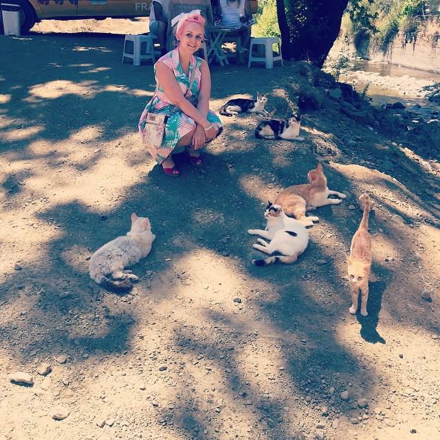 #crazycatlady #troodos #cyprus #cats #cat #suicidegirls #sg http://t.co/7AdJUi5uX7<a href="/tag/crazycatlady"class="tags">#crazycatlady</a><a href="/tag/troodos"class="tags">#troodos</a><a href="/tag/cyprus"class="tags">#cyprus</a><a href="/tag/cats"class="tags">#cats</a><a href="/tag/cat"class="tags">#cat</a><a href="/tag/suicidegirls"class="tags">#suicidegirls</a><a href="/tag/sg"class="tags"><span>#sg</span></a>