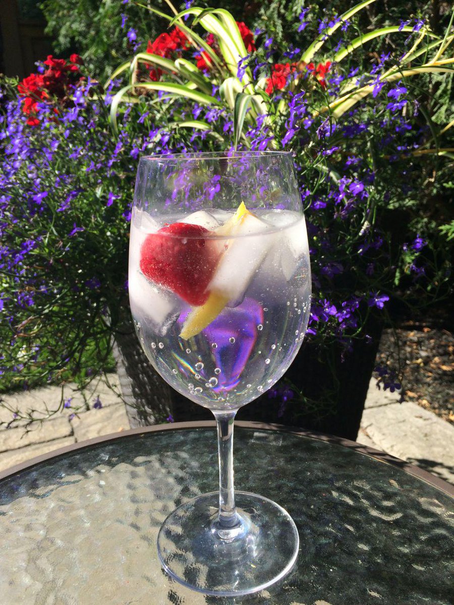 Deb_Lowther's tweet image. Only Water is Water! Make it sparkle &amp;amp; drink up  @SodaStream_CA  ow.ly/OFZ8r  #stayhydrated