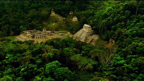 _Paisajes_'s tweet photo. Zona Arquelogica Palenque, Chiapas. México. http://t.co/aj27SIrYFh