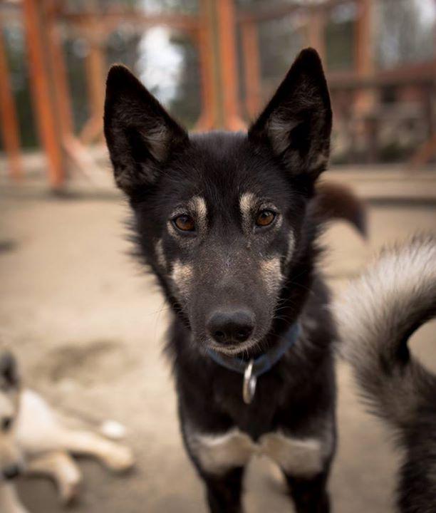 Wildernesscenter tweet media