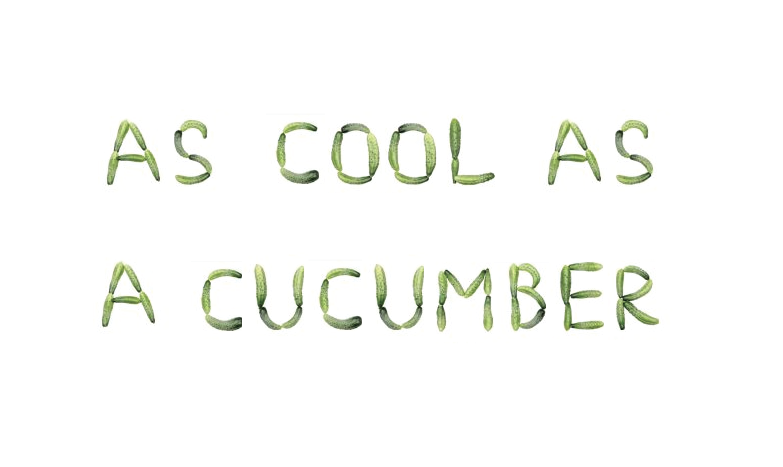 flovoco's tweet photo. Food #idiom for lunchtime! ¿Qué significa la expresión '(as) cool as a cucumber'? Make your guesses! #englishlearning http://t.co/SZzrCsFXQv
