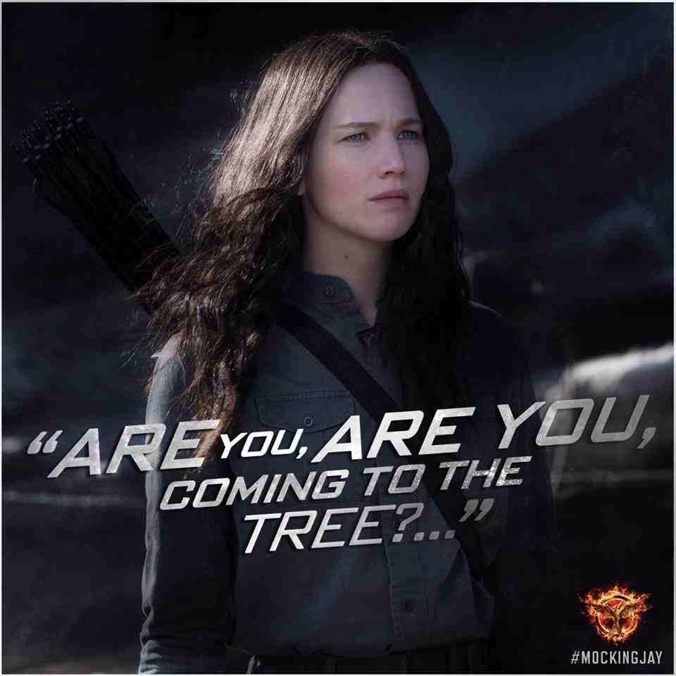 themockingjay6's tweet image. 