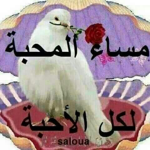 abdul_katri's tweet photo. @neek49854146 http://t.co/AzPVaPrAbF