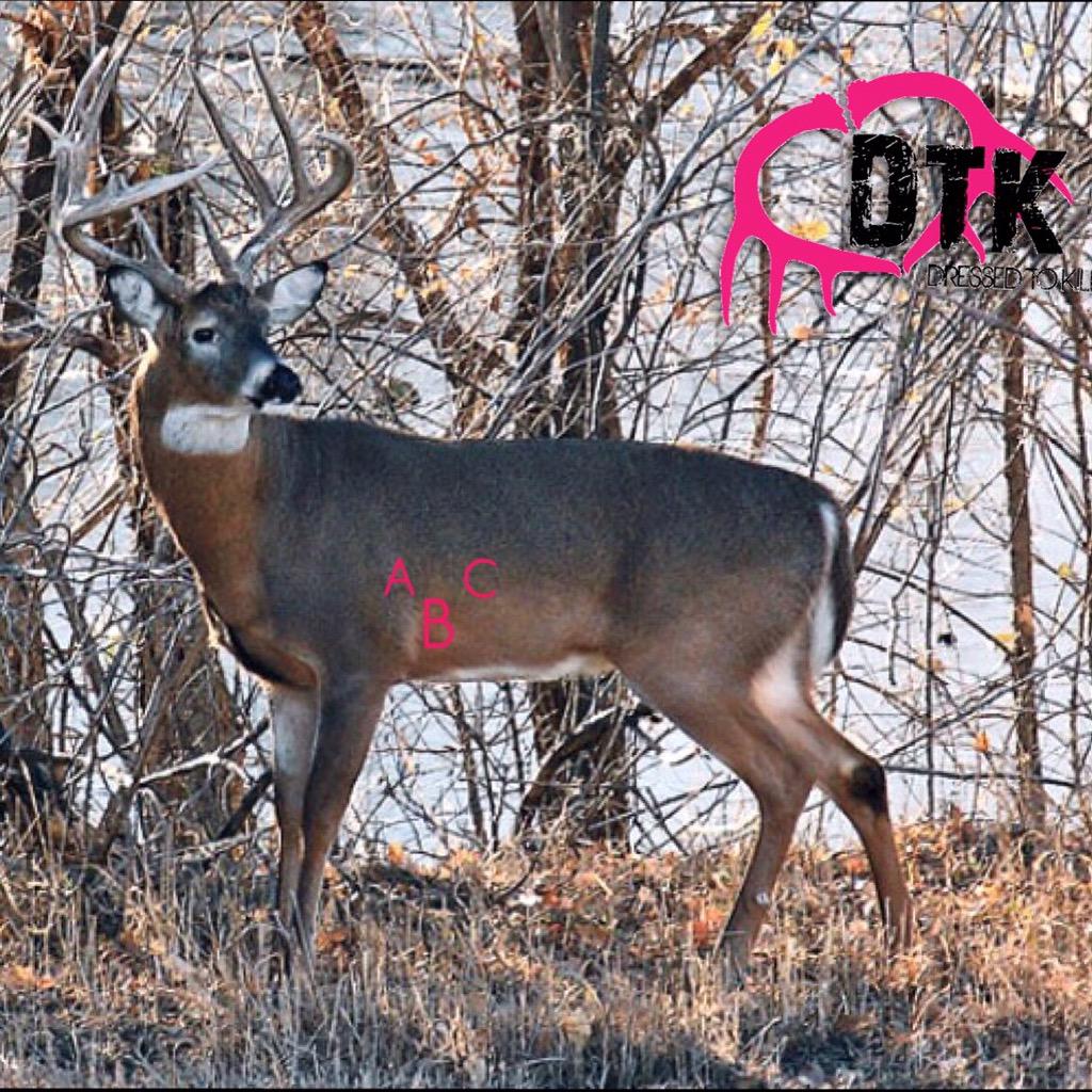 DressedToKillTV's tweet photo. You've got him at 30 yards. Draw your bow and aim! Where do you shoot? A, B, or C? http://t.co/IdjGUE7Bvb