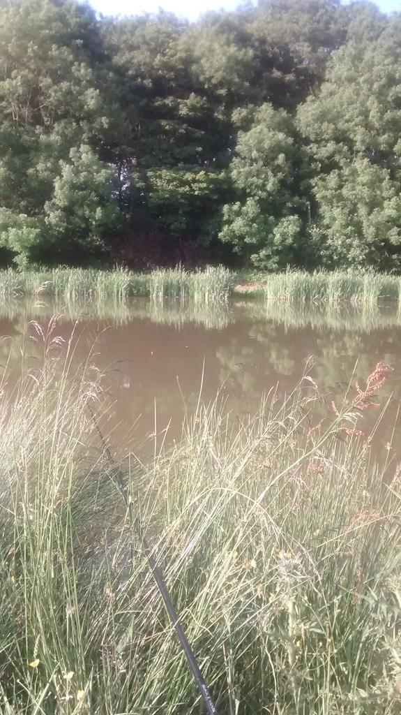 A lovely evening floater fishing for carp