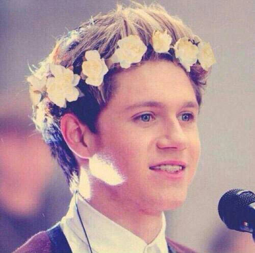 ranrandir's tweet photo. Niallの誕生日までに913RT目指します🏃
#Niall birthday
#Niall girl RT
#1D好きな人RT
#DirさんRT
#RTした人全員フォローします http://t.co/q53eVTS2ZD