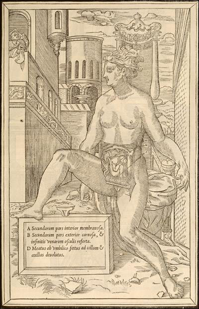 AltAnatomiesLab's tweet photo. Call for Papers: Art, Anatomy, &amp; Medicine Since 1700 Conference - http://t.co/T1yXTaeGUa via @morbidanatomy #CFP http://t.co/rC3zsKeVhM
