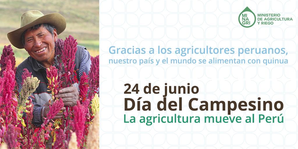 FAOAmericas's tweet photo. RT @MINAGRI_DIGNA: ¿Sabías que Perú es 1er. productor de #quinua en el mundo? #DíadelCampesino http://t.co/VPiMWG2nBR http://t.co/35LwmIRh0u