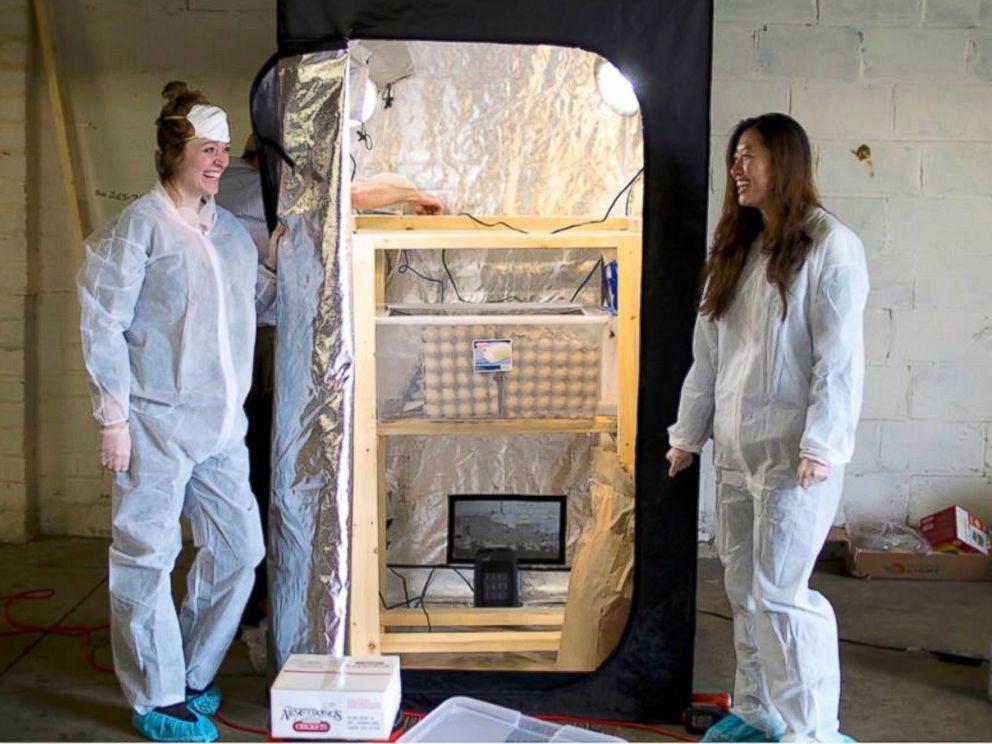 ABC's tweet image. Two women launch a company with one ambitious goal: get Americans to eat insects -- abcn.ws/1QNDVSe