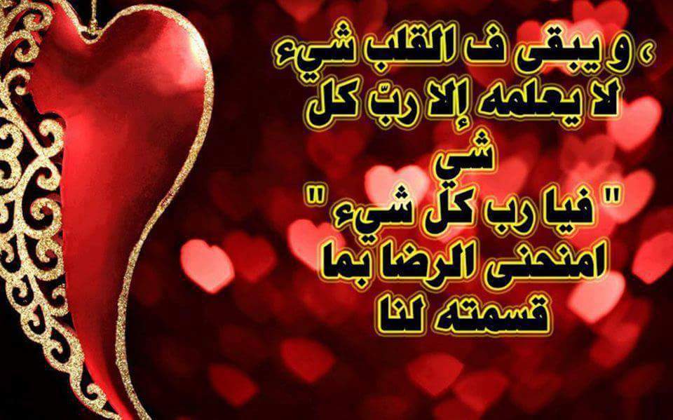 dalbeh65 tweet picture