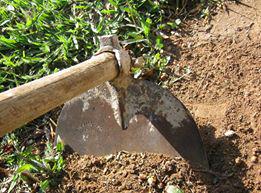 [Image: CIM_Rx4WsAAnCvM?format=jpg&name=360x360]