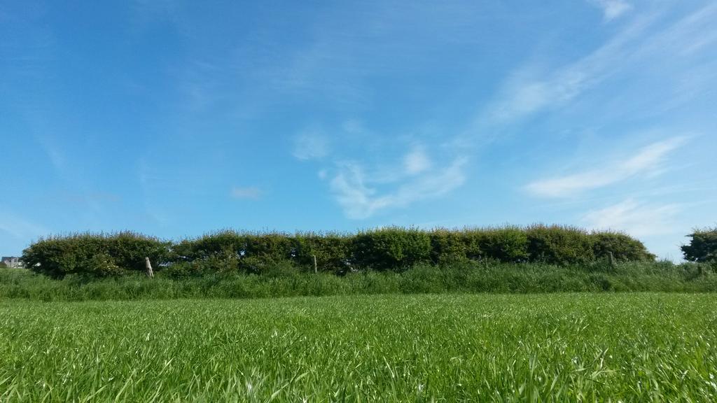 PortrushAirshow's tweet photo. In sunny Portrush today checking on potential new car parks.
@SelectSecurity @PSNINorthCoast http://t.co/p0mQCqudXq
