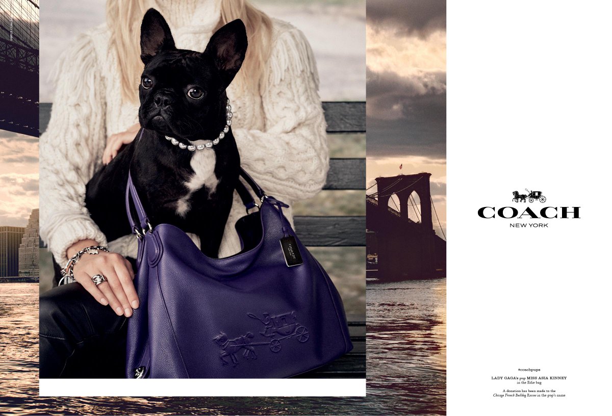 I'm so proud to post my first photo as the face of <a href="/Coach/">Coach</a> for this year's #CoachPups Campaign, shot by Steven Meisel!
