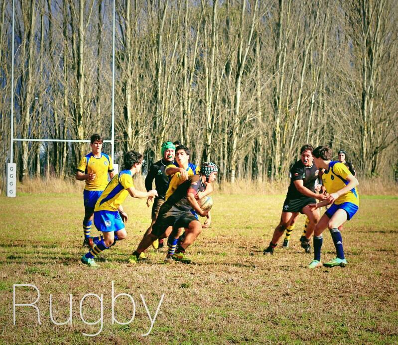 JorgeTwet's tweet photo. @rucamanque la fuerza del #Rugby #Araucania #Deportes http://t.co/ryCh5acXQP