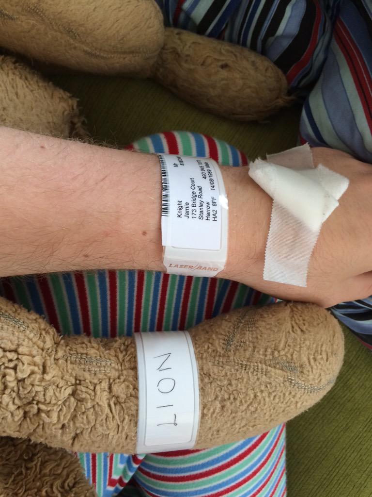 JamieKnight's tweet image. @lickr got his own bracelet but didn't leave my side during the medical bit. Super great outcome.