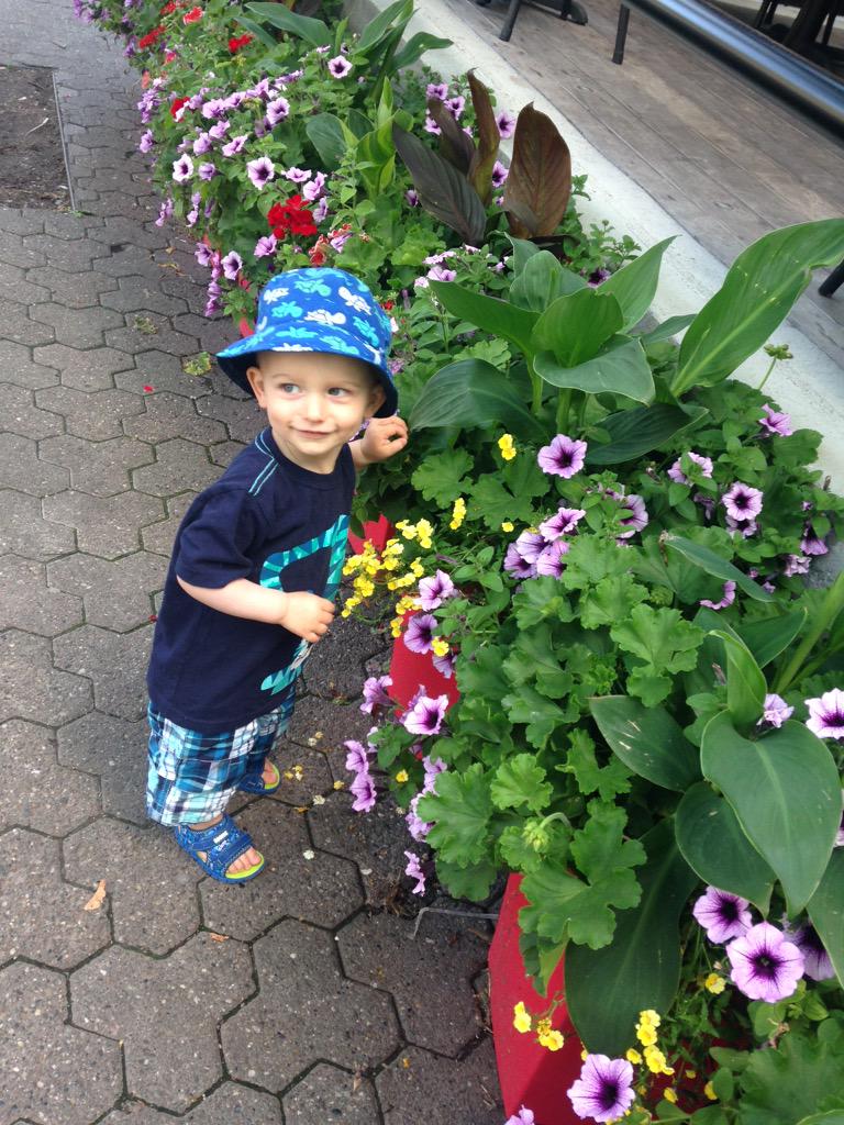 Stop and smell the flowers #roadtripwithatoddler #canadianroadtrip #Montreal