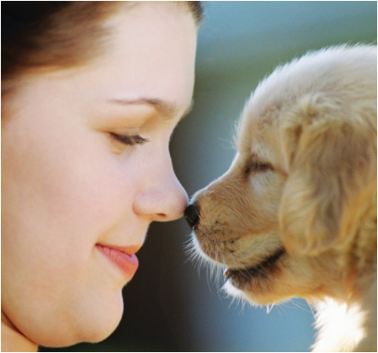 NJAllergyDoctor's tweet photo. Human dander can cause #allergic reactions in #cats and #dogs. Chances are, they won’t be returning you to the pound. http://t.co/0CYp66Pr6k