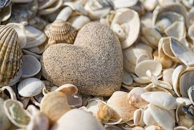 blue_saphire5's tweet photo. May your heart be open to love.
May your arms be open to receive. @streetSinger9 @bmalhotra69 http://t.co/Y6vbpymEq6
