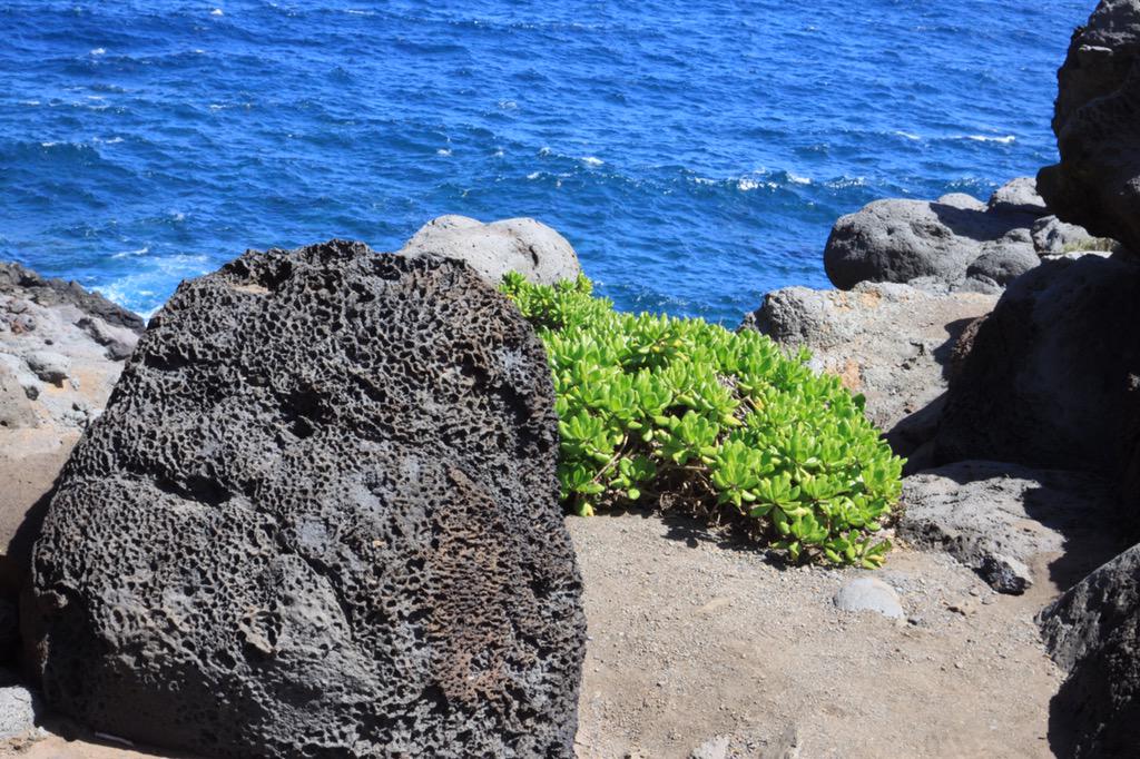 Hawaii Impressions Part 1