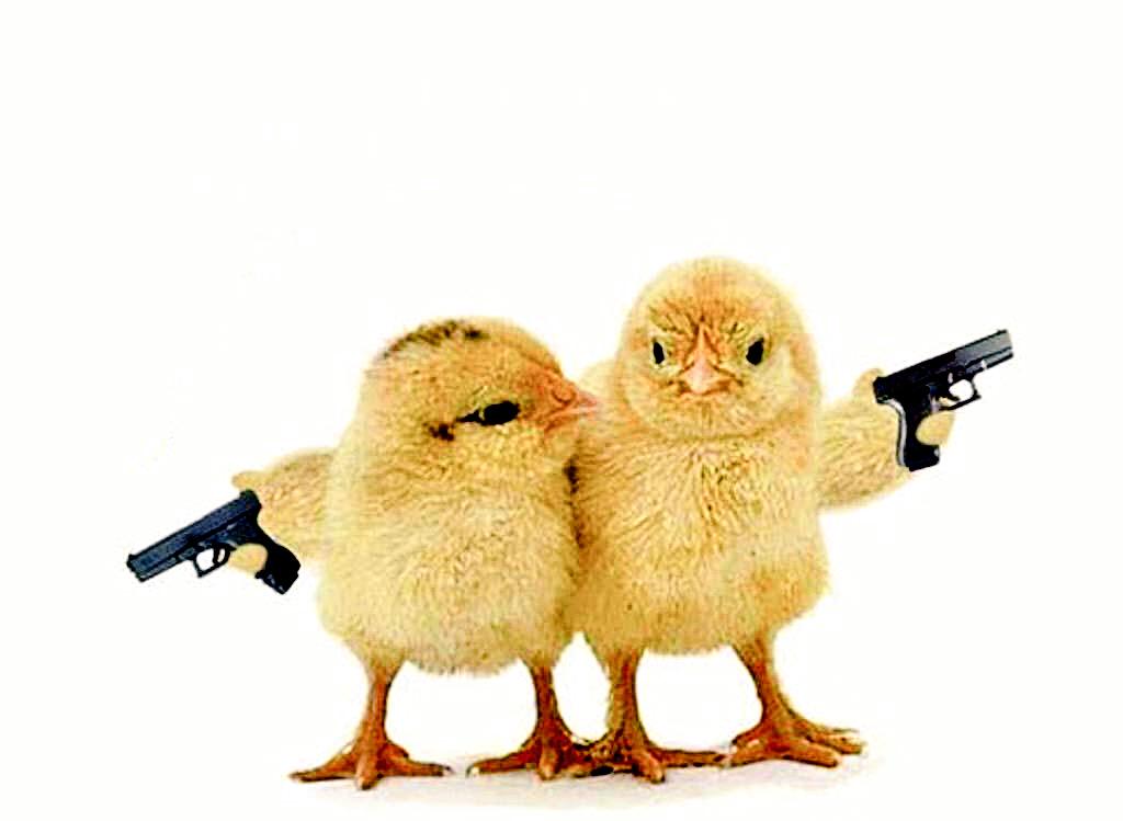 eglantinebar's tweet photo. Woo Hoo our first 100 followers thanks folks here's a picture of some chicks with guns... Enjoy! http://t.co/0PVkHQFIhc