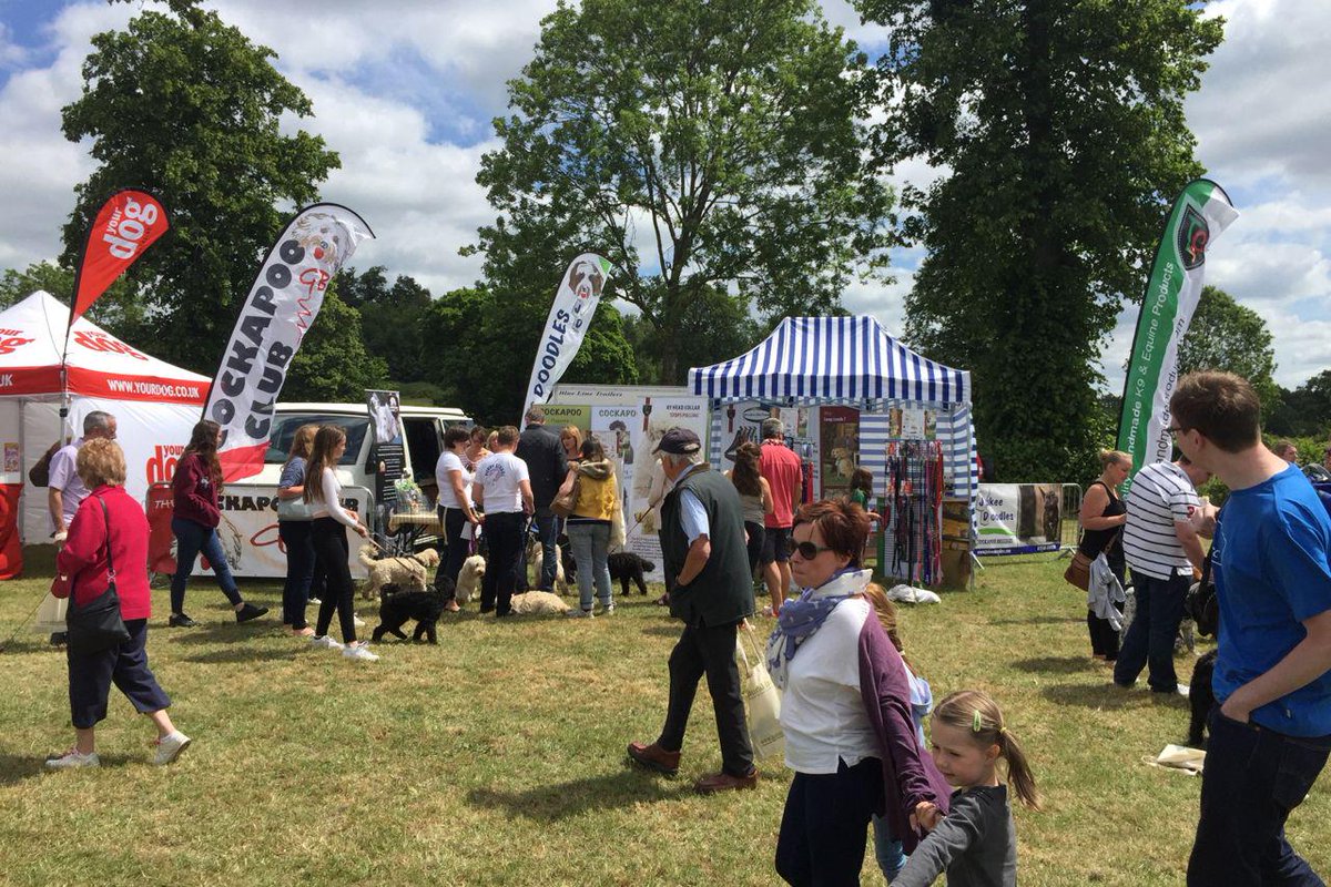 TCK9Products's tweet photo. #dogfest on Sunday was insanely busy again. I spend the day on my knees fitting #TCK9HEADCOLLARS http://t.co/bxdMe5PzM7