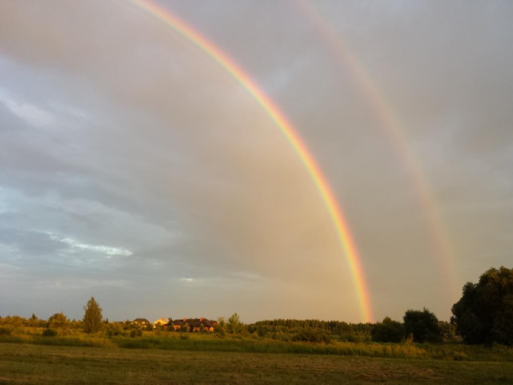 Marcin Obel tweet media