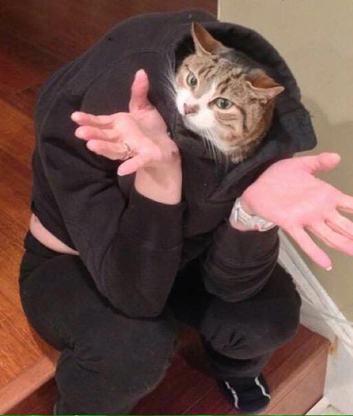 CallMeAlexRay's tweet image. It's like 3pm and I'm already making messy edits of my cat