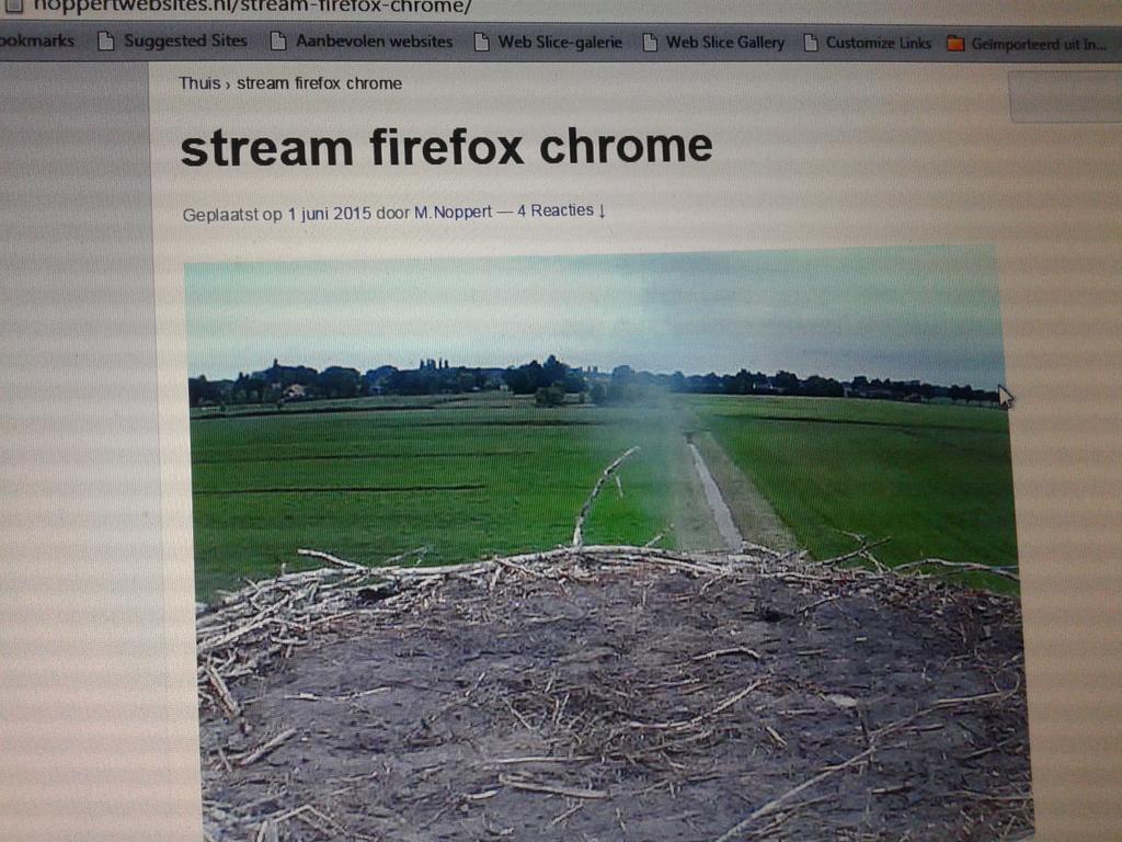 PBBveldMberg's tweet photo. Vanavond zijn de 4 jonge ooievaars op nest #Beerzerveld  geringd.  1/2 http://t.co/aO9krlHPC2