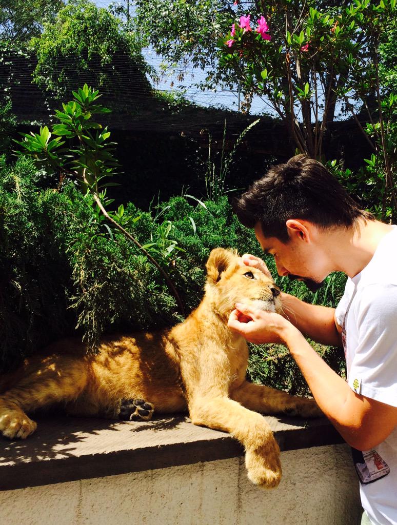 kevinrichardson's tweet photo. Thank U @JaguarAndTiger  Follow &amp; donate to help. His name is Kevin too. After @lionwhispererSA #Lions #BSBinMexico http://t.co/GVrqHxW11A