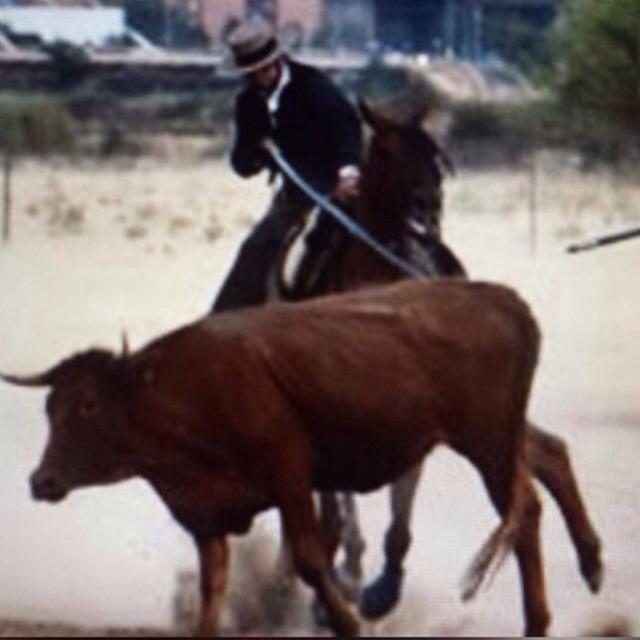 acoso_derribo's tweet photo. Hay toreros con casta y dp está @elJuli torero de época, figurón del toreo, gran jinete y garrochista expecional! http://t.co/aog6I4k2jj