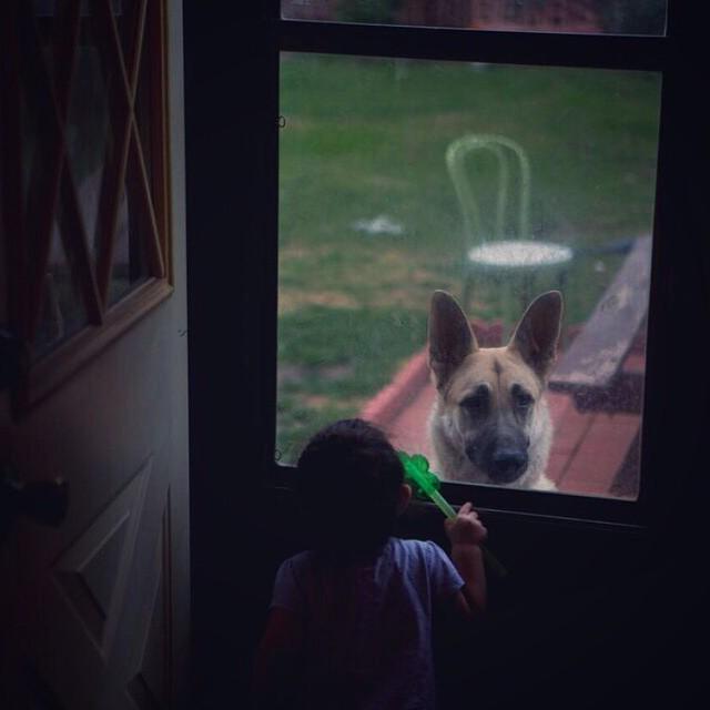 MarktownUSA's tweet photo. http://t.co/uFavegplKI Fourth-generation #Marktown resident Mariela says hello to Troop | #savemarktown #iammarkt… http://t.co/eNFaKafWOS