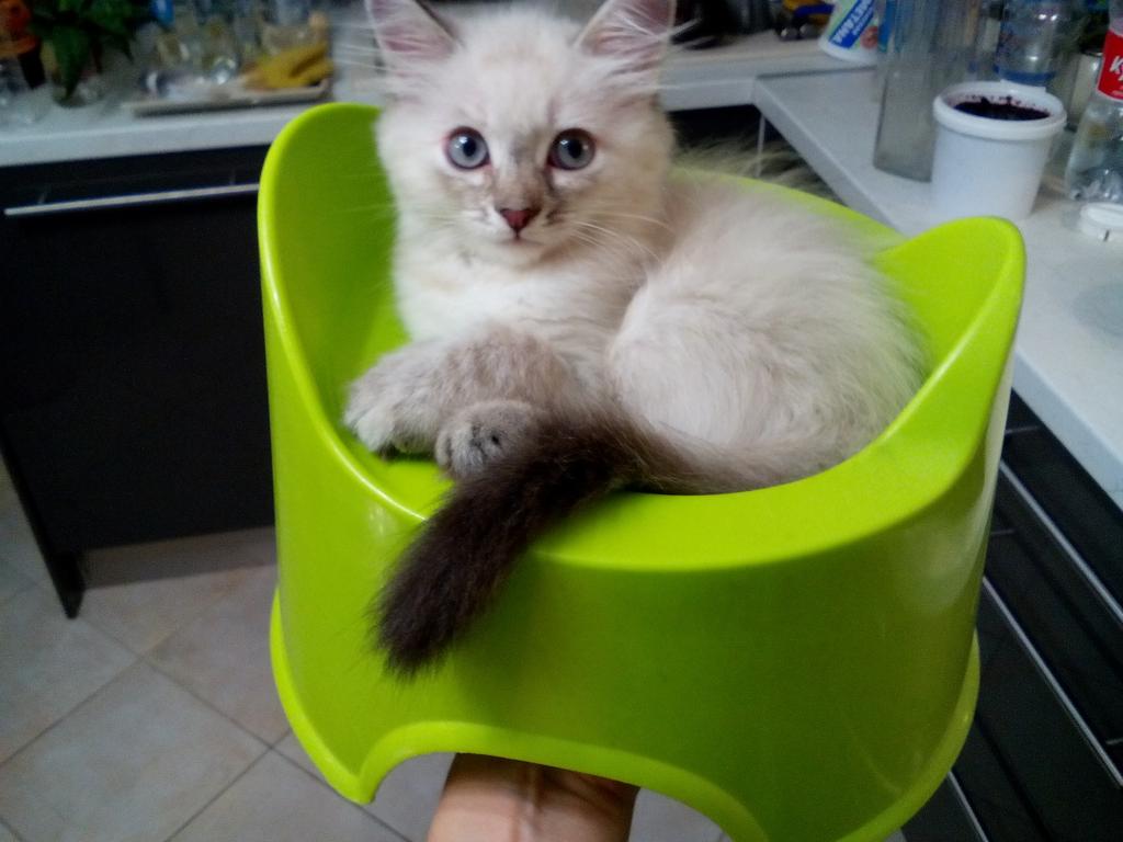 GOlecya's tweet photo. Children always grow so quickly http://t.co/2ETRm3ci4f