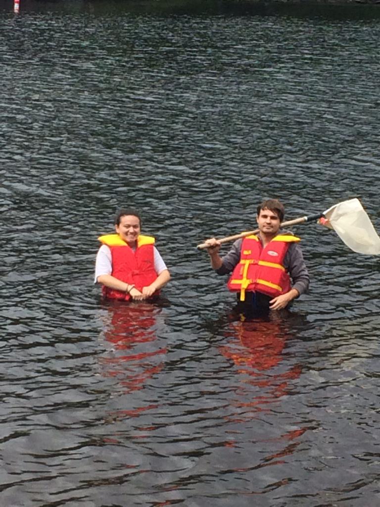 UWSummitCentre's tweet photo. @envwaterloo students hunting for benthics in Fairy Lake @UWSummitCentre #obbn training #wsce #benthicslikeaboss http://t.co/3FUnylQhdm