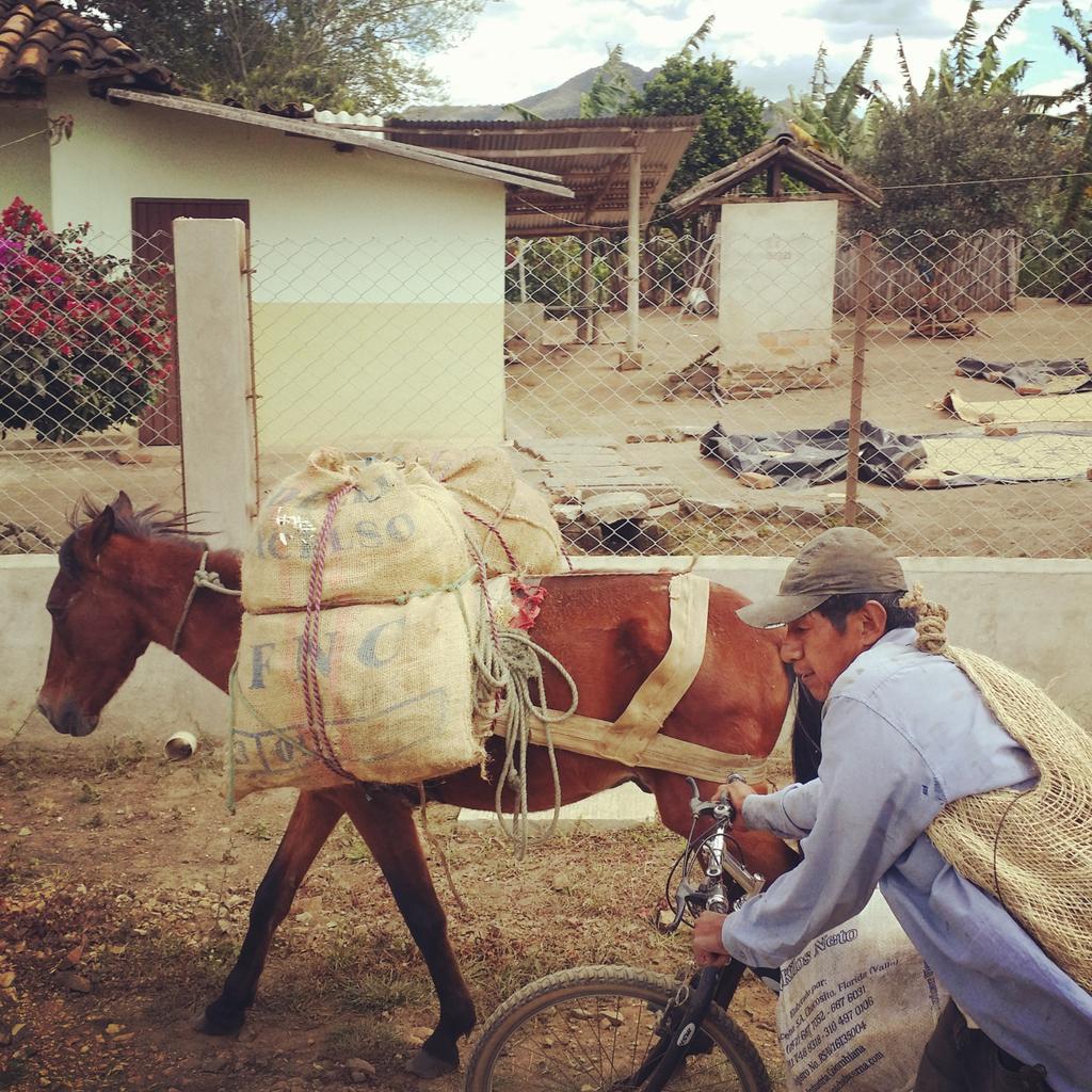 Antis Coffee tweet media