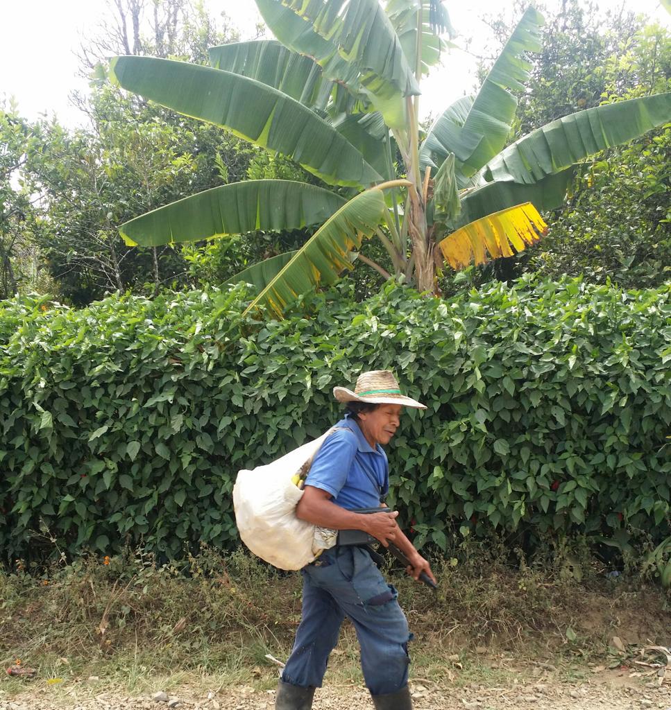 Antis Coffee tweet media