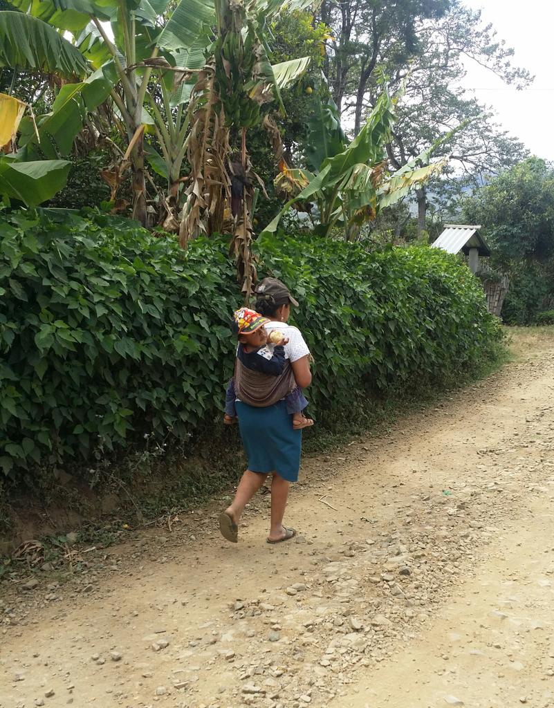 Antis Coffee tweet media