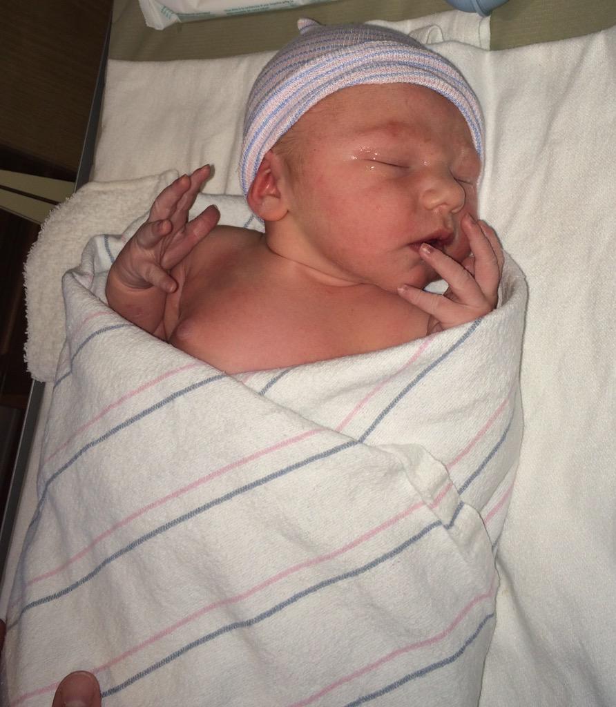 Bison Baseball tweet media