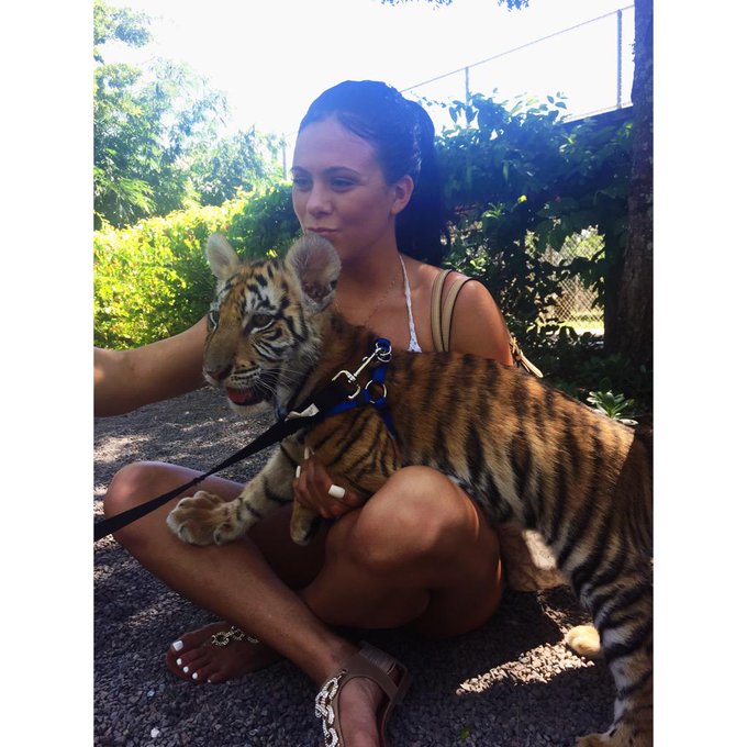 🐯 she was so beautiful even tho she bite me after 😍 http://t.co/KlkHwRDF4e<a href="/tag/houston"class="tags"><span>#houston</span></a><a href="/tag/cle"class="tags"><span>#cle</span></a>