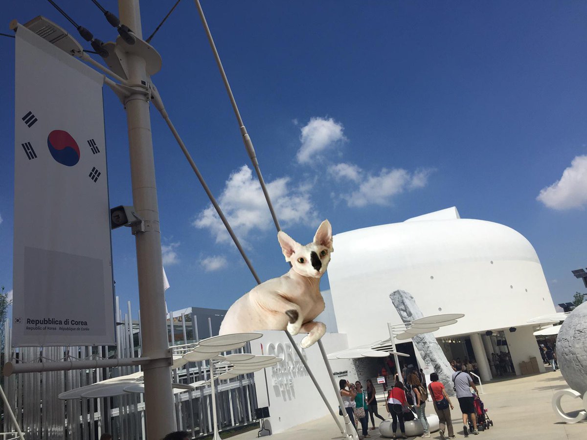 TravelingTally's tweet photo. Heard my daddies were at @Expo2015Milano earlier today. Must have just missed them—can't wait to see them soon! http://t.co/oDWqQHlVLm