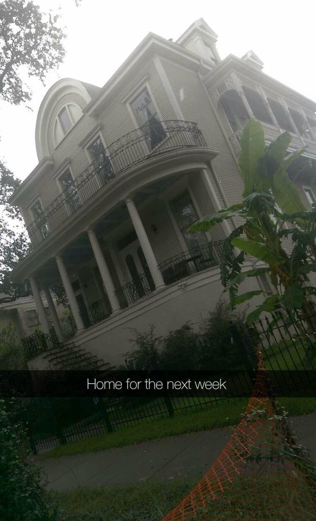 weatli's tweet image. 