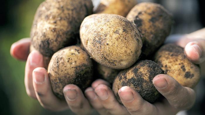 Fuel Your Training with Natural Energy Alternatives - #ResultsStartHere - sot.ag/40hyh