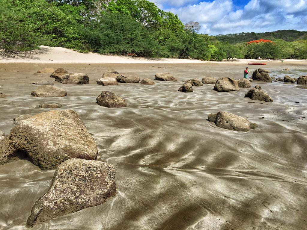 Jeana Travels tweet media